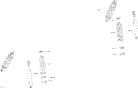 08- Shocks Maverick Trail