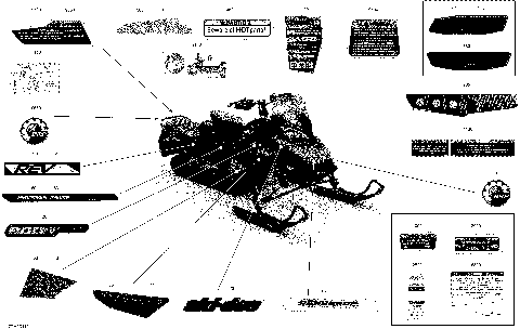 09- Body - Decals - Adrenaline