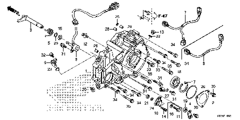 REAR CRANKCASE COVER