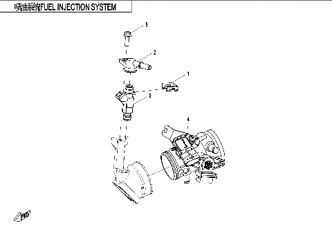 FUEL INJECTION SYSTEM (EU168)