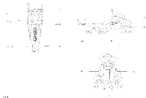 09- Decals Tundra - 600 ACE - Package LT