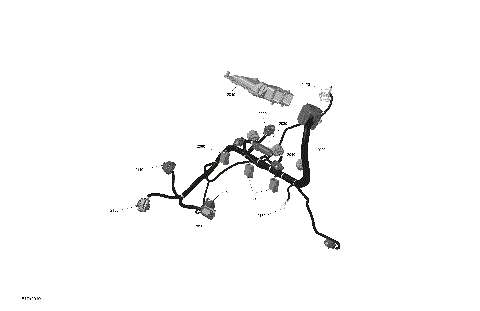 01- ROTAX - Engine Harness And Electronic Module