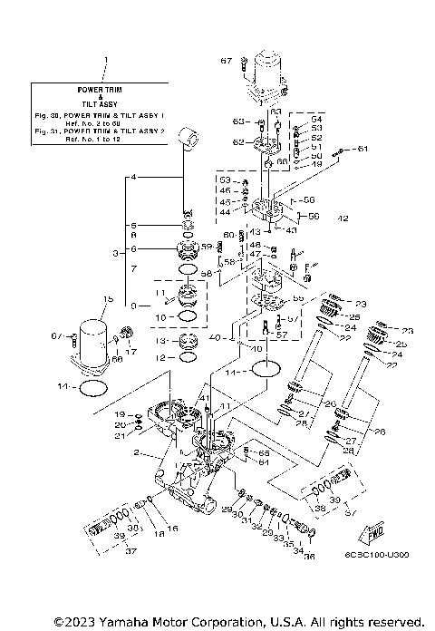 POWER TRIM TILT ASSY 1