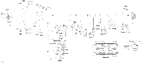 10- Main Harness XT, XT-P