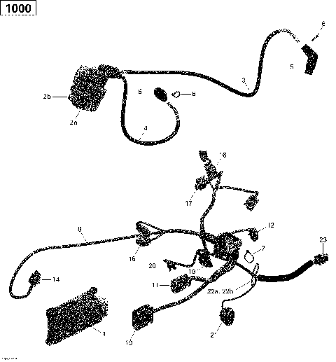 10- Engine Harness and Electronic Module - 1000 EFI (Package PRO-MAX PRO)