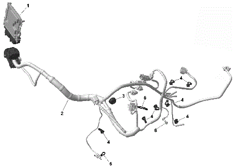 01- ROTAX - Engine Harness And Electronic Module