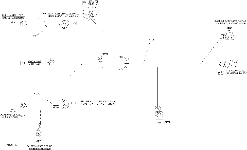 10- Electrical Harness Steering  278003851