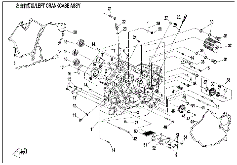 LEFT CRANKCASE ASSY