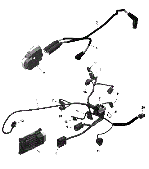 01- ROTAX - Engine Harness And Electronic Module