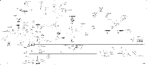 10- Frame Harness , SM5