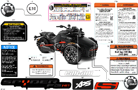 07- Body - Decals