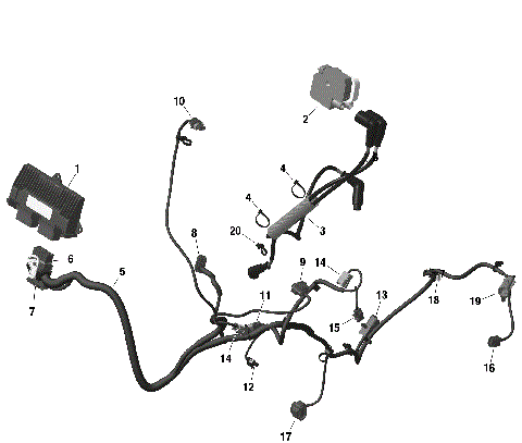 01- ROTAX - Engine Harness And Electronic Module