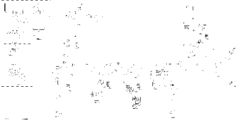 08- Electric - Main Harness - 515178794 - Model with E-TEC SHOT Engine Starter