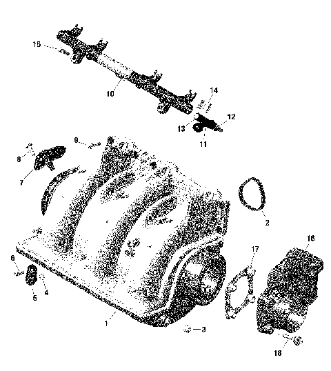 01- ROTAX - Air Intake Manifold And Throttle Body