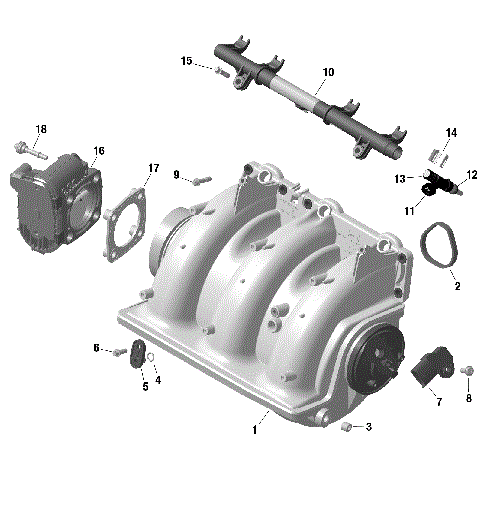 01- ROTAX - Air Intake Manifold And Throttle Body