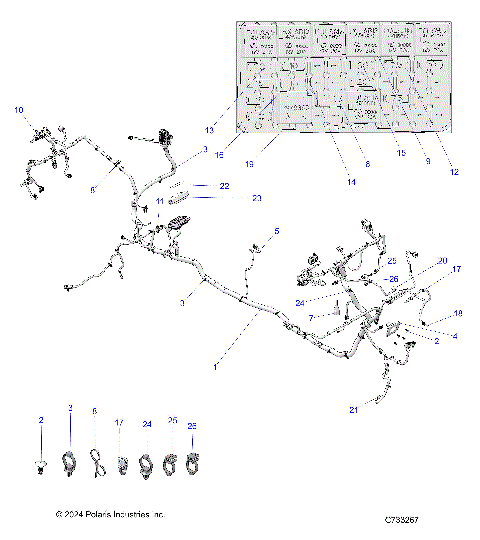 ELECTRICAL, WIRE HARNESS - R25RSF99AY/AL (C733267)