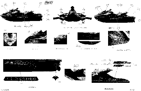 09- Decals (29S1304b)