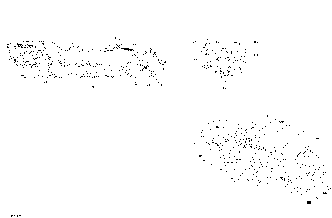 09- Decals Commander MAX 800R EFI - Package DPS