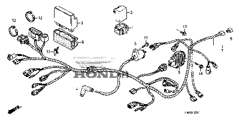 WIRE HARNESS (TRX250TE)