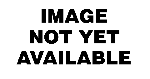 KITS, GUN BOOT and SCABBARD MOUNT - ALL OPTIONS (490001IMAGE NOT AVAILABLE)