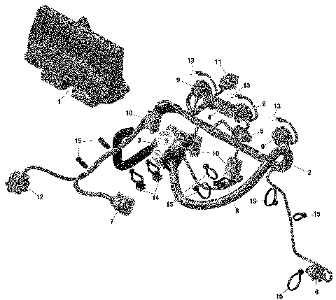 10- Electric - Engine Harness And Electronic Module - 900 ACE