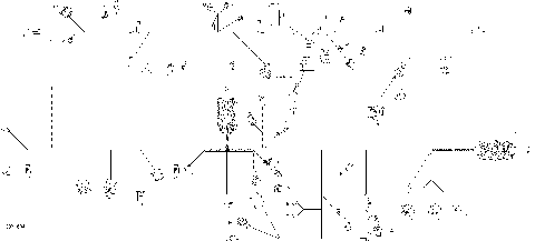 10- Electrical Harness - Frame SE6 - Package T-LTD