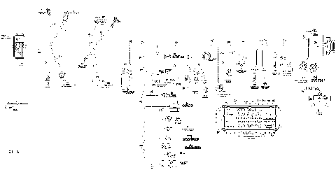10- Main Harness Except Europe