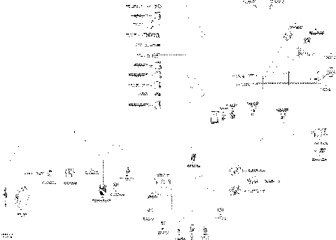 10- Main Harness - Commander MAX