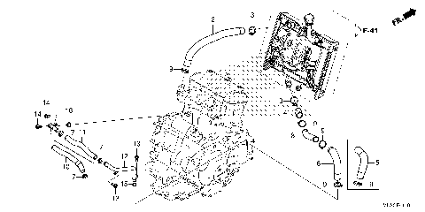 RADIATOR HOSE@WATER PIPE
