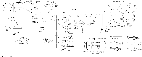 10- Main Harness Europe