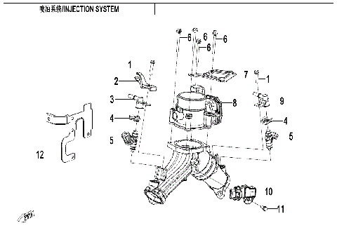 FUEL INJECTION SYSTEM (950 TRAIL & 950 SPORT)