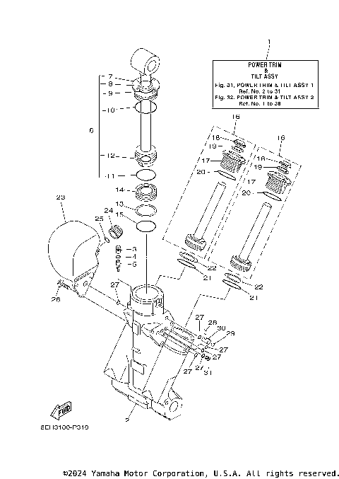 POWER TRIM TILT ASSY 1