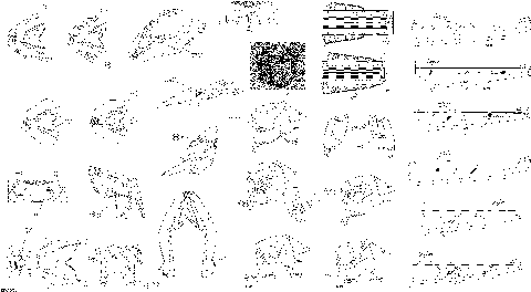 09- Decals - Except Package Sport