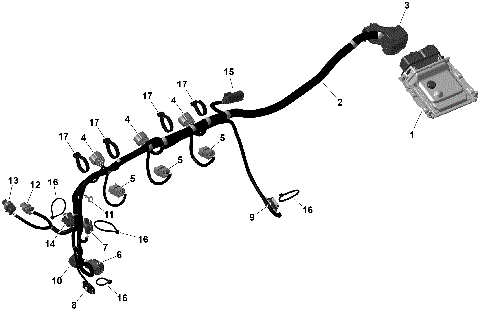 01- ROTAX - Engine Harness And Electronic Module