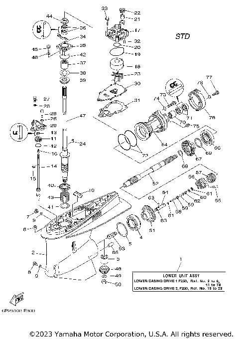 LOWER CASING DRIVE 1 F250