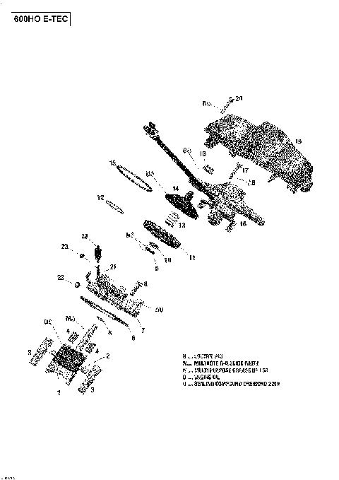 01- Rave Valve - 600HO E-TEC