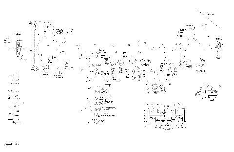 10- Main Harness Europe XTP