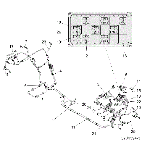 ELECTRICAL, WIRE HARNESS - Z19VFL92AG (C700394-3)