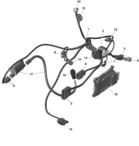 01- ROTAX - Engine Harness And Electronic Module