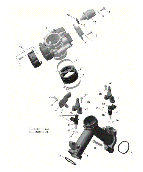 01-ROTAX - Air Intake Manifold And Throttle Body