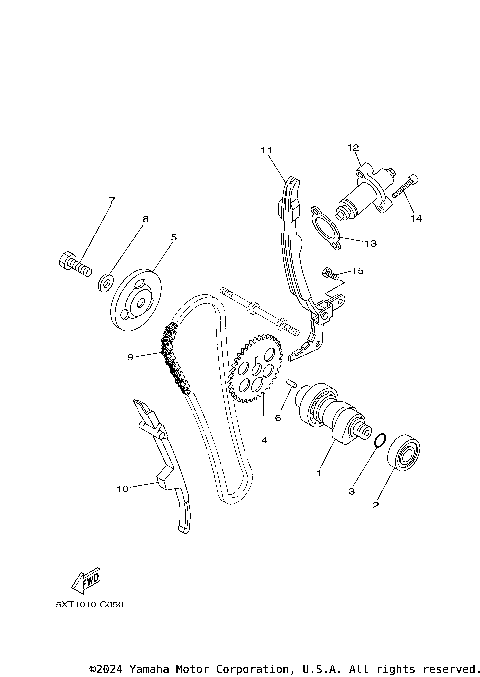 CAMSHAFT & CHAIN