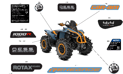 07- Body - Feature Decals