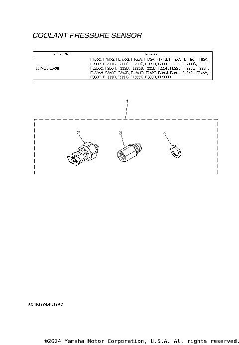DIGITAL NETWORK GAUGE 4