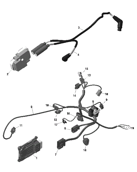 01- ROTAX - Engine Harness And Electronic Module