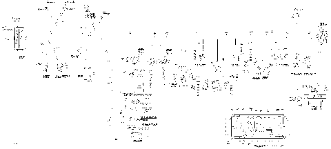 10- Main Harness 500 EFI