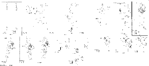 08- Electric - Main Harness - 515178731 - Enduro - Part 2