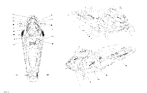 09- Decals - Package XRS