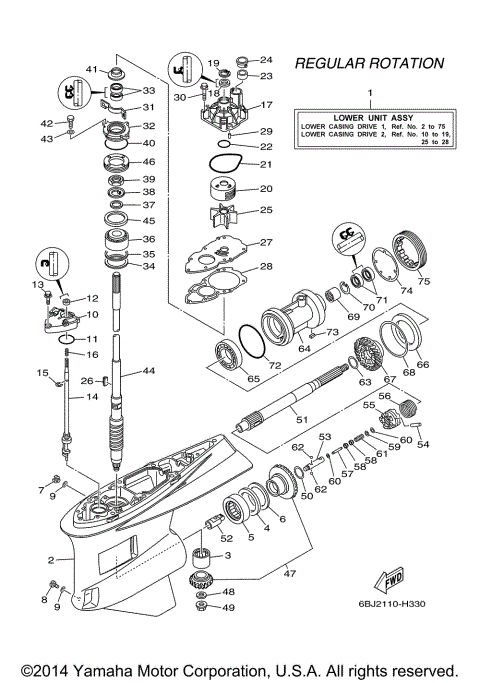 LOWER CASING DRIVE 1
