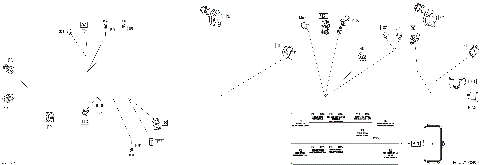 08- Electric - Main Harness - 710004957