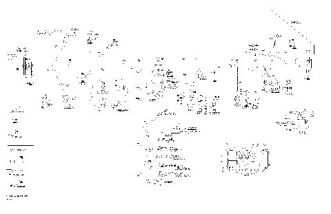 10- Main Harness Europe XT